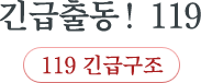 긴급출동!119 119 긴급구조