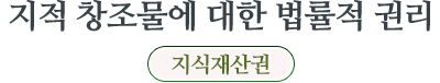 지적 창조물에 대한 법률적 권리  지식재산권